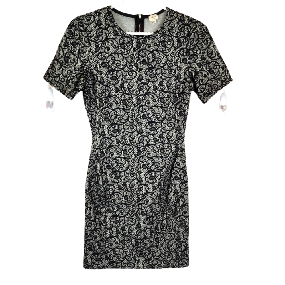 Aritzia Wilfred Lace Mignonne Lace dress